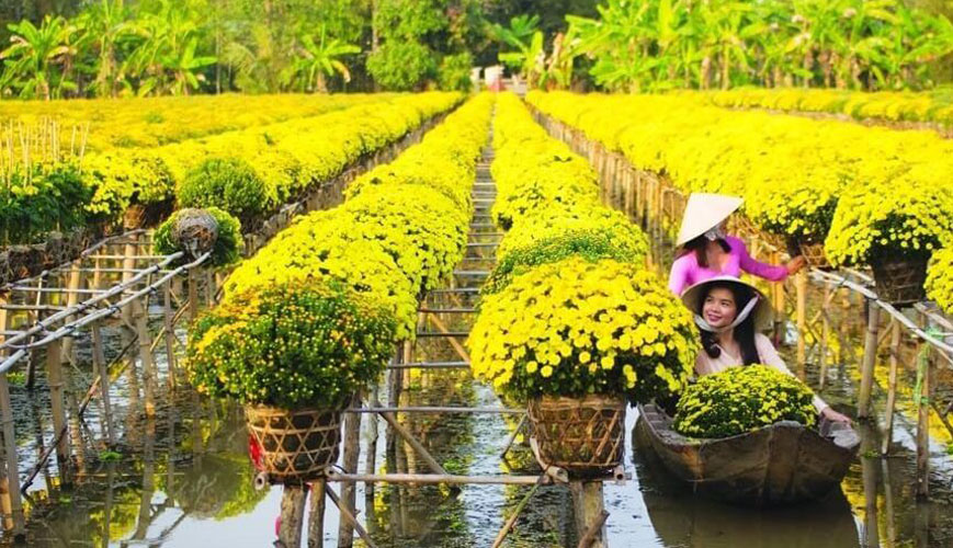 Exploring Mekong delta flower market